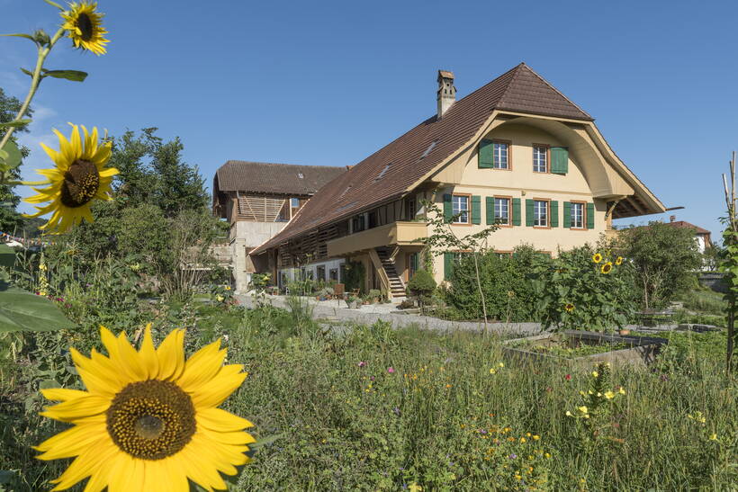 bauernhaus_weyergut_garten.jpg